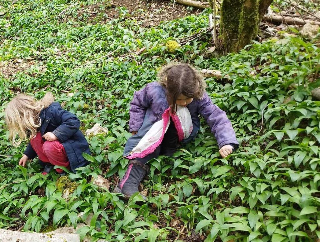 Nos Actions et Initiatives