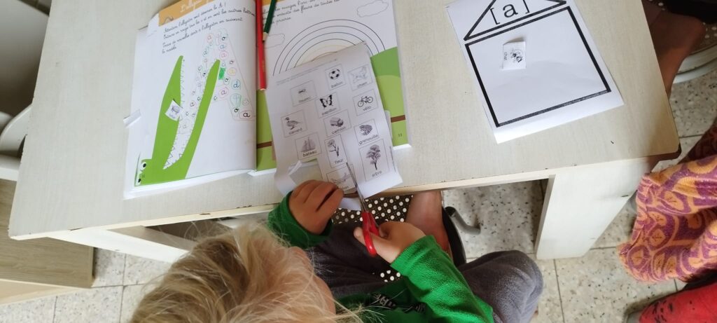 Évolution Légale de l'IEF en France